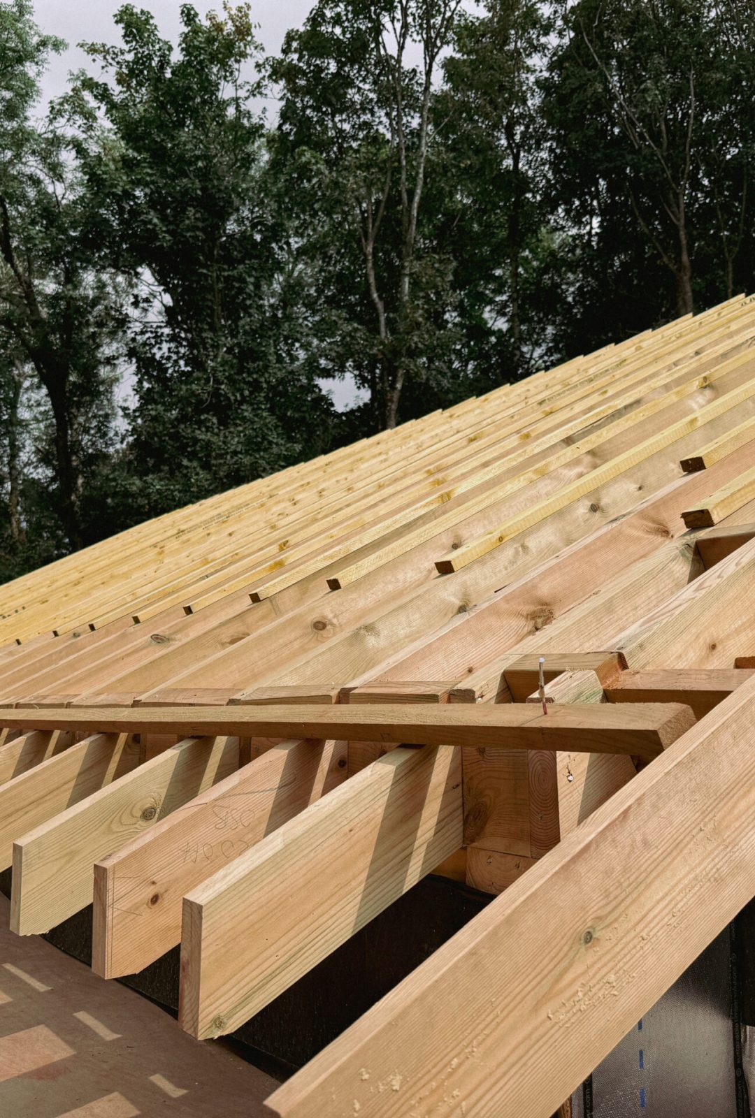 48F61B93-44EB-4763-AE1A-63508DE3CEFC